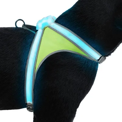 Noxgear LightHound